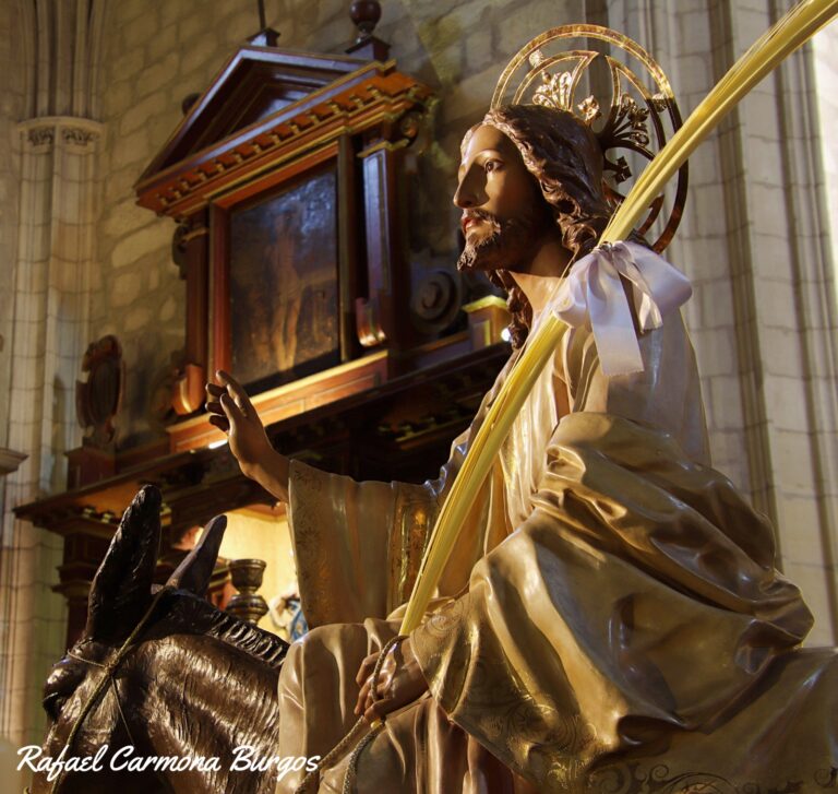 WhatsApp Image 2021-02-20 at 20.08.31