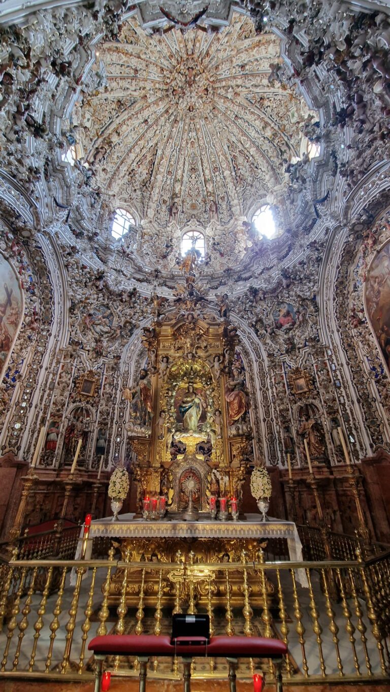 WhatsApp Image 2023-03-17 at 18.26.46 (2)