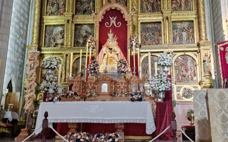 WhatsApp Image 2023-04-17 at 21.35.28