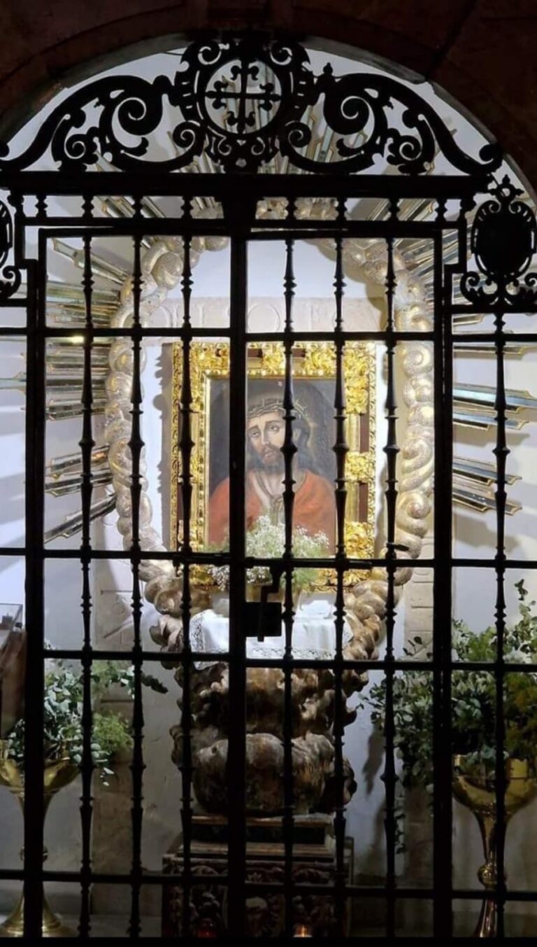 WhatsApp Image 2023-07-10 at 19.06.20 (1)