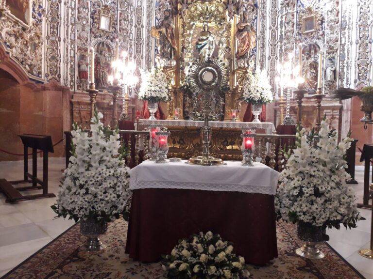 WhatsApp Image 2023-11-23 at 21.29.52