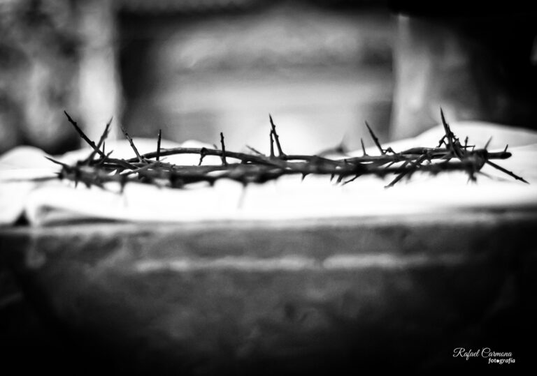 WhatsApp Image 2024-02-17 at 18.02.50